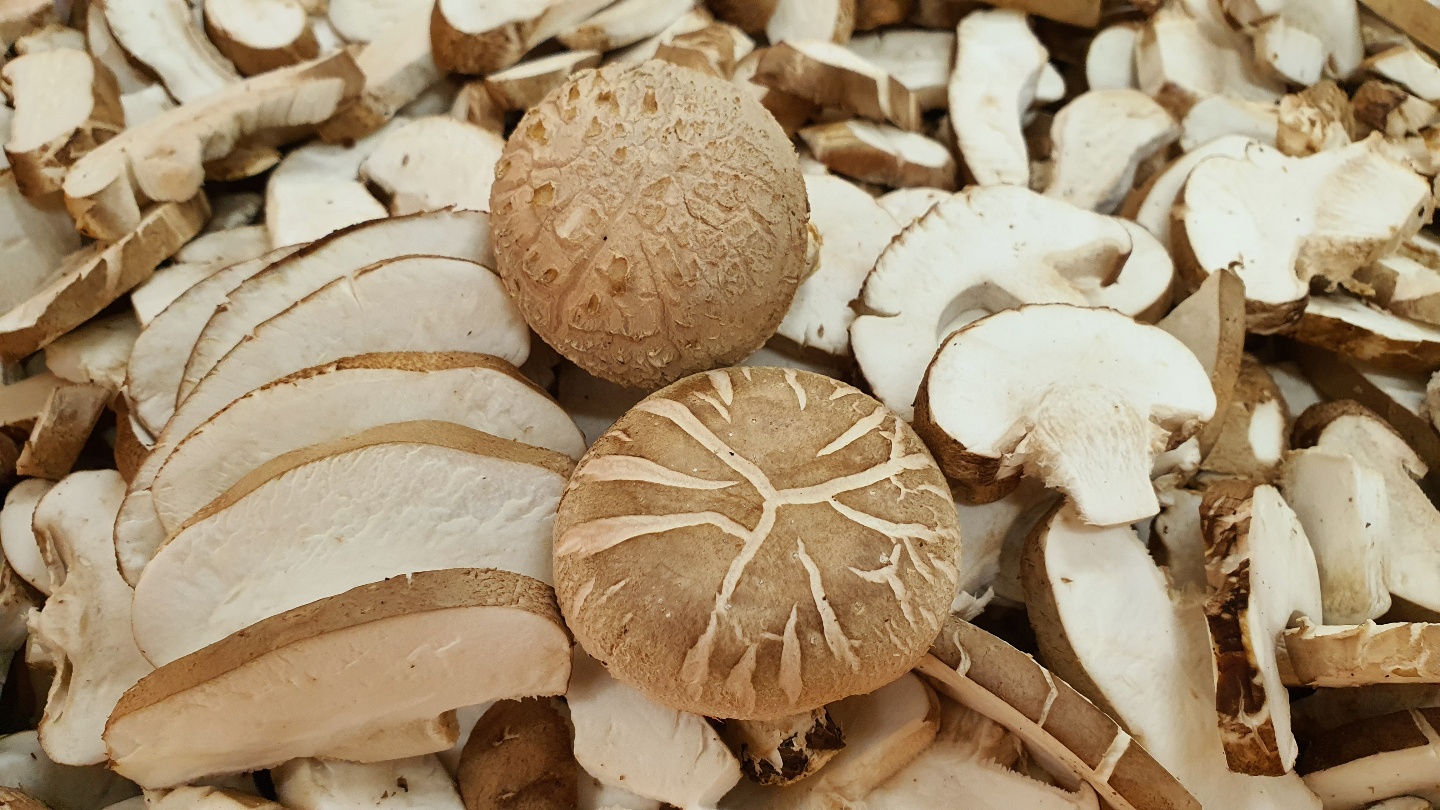 친환경적 재배방식으로 생산한 고품질 표고버섯